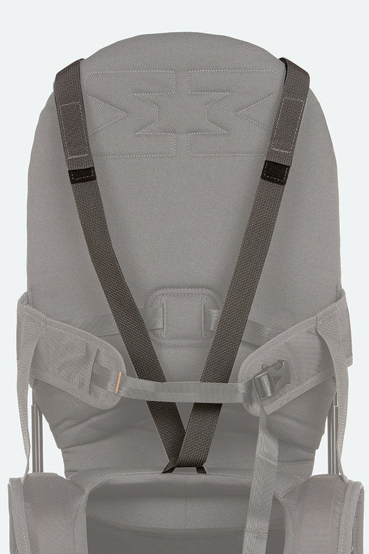 Variant: Shoulder strap